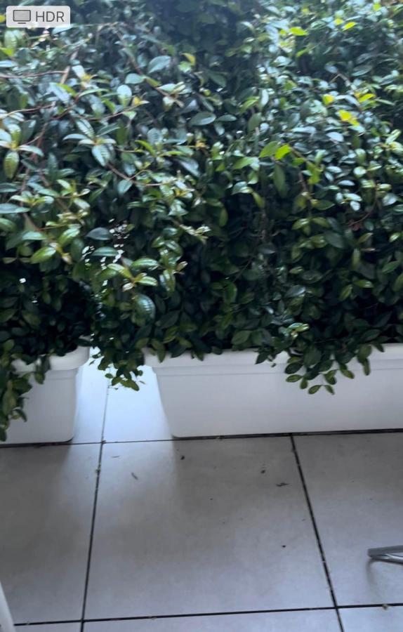 Loft Mono 3 Apartman Cagliari Kültér fotó